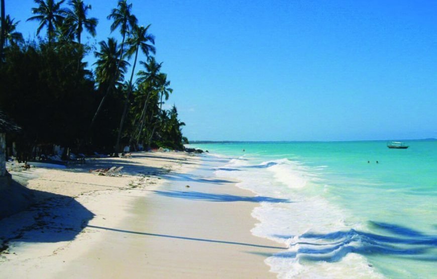imgi_3_goa-zanzibar-870x555 (1)