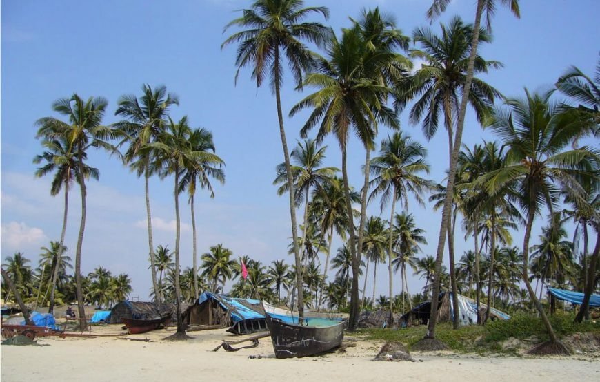 imgi_5_GOA-Colva-Beach-870x555 (1)