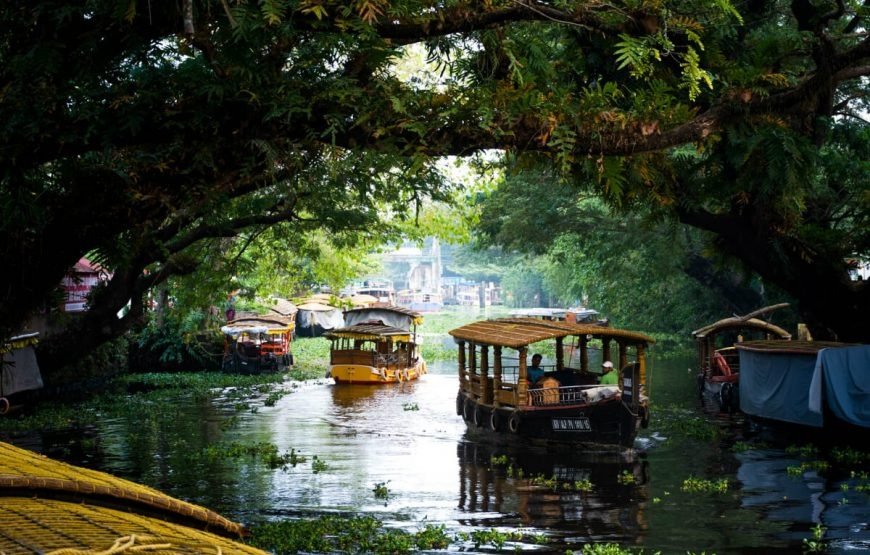 imgi_5_kerala-family-travel-packages-870x555