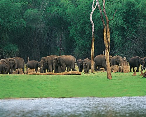 imgi_18_Thekkady-summer-vacation-packages