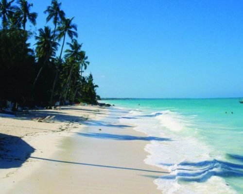 imgi_3_goa-zanzibar-870x555