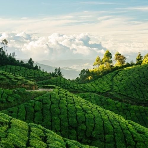 imgi_4_kerala-travel-packages