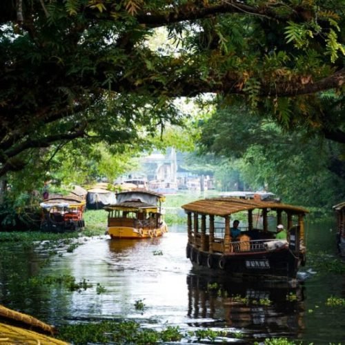 imgi_5_kerala-family-travel-packages-870x555